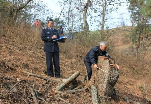 山東：今年前8個月批捕破壞環(huán)境資源保護犯罪案件254件